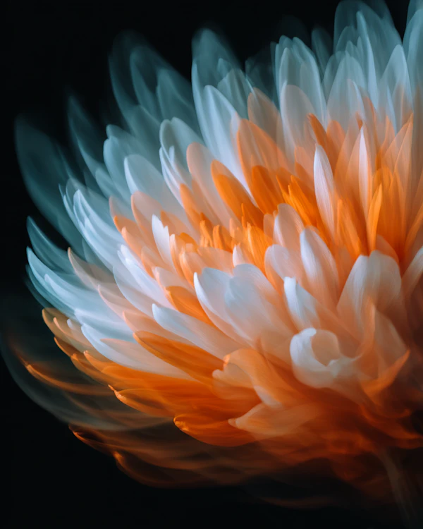 Vivid Flower Close-Up