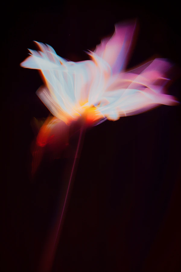 Ethereal Flower Glow