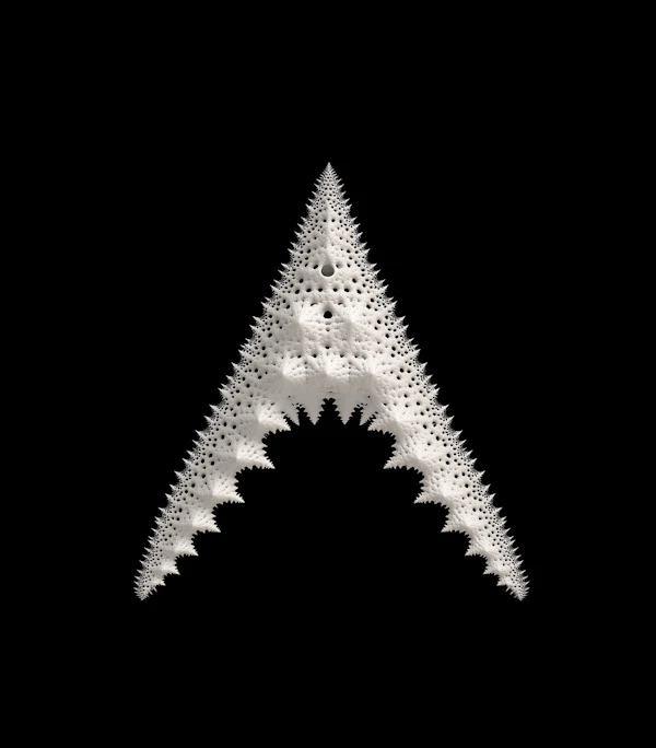 Textured Triangular Object