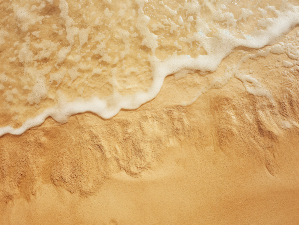 Golden Sands and Foamy Tides