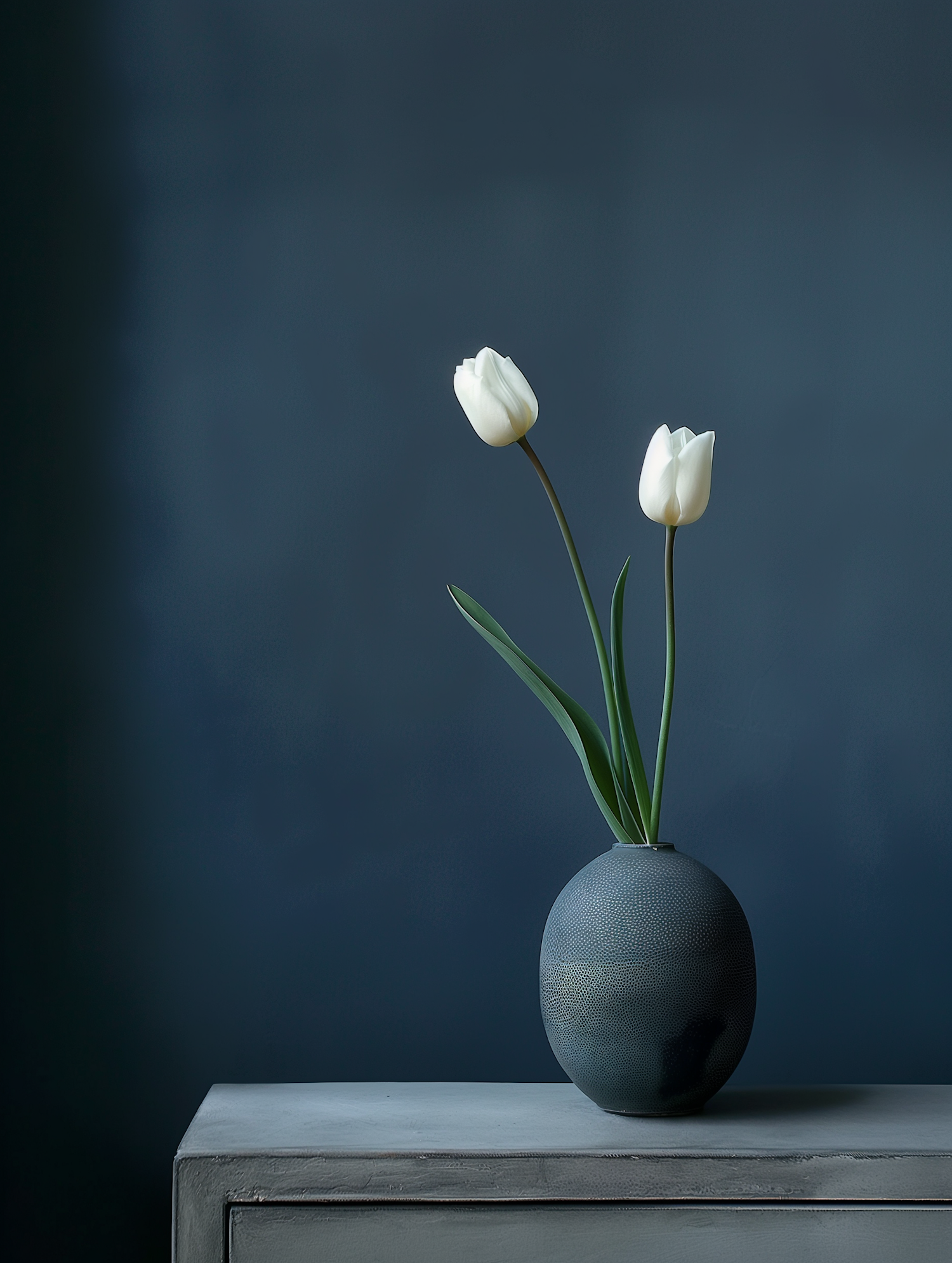 Minimalist White Tulips in Blue Vase