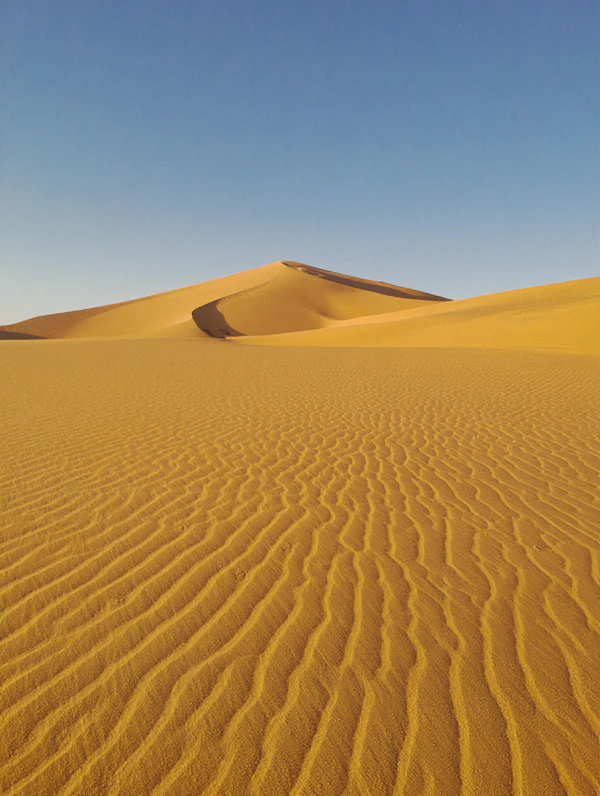 Golden Sand Dunes