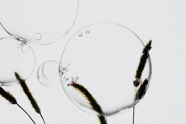 Bubbles and Grass Art