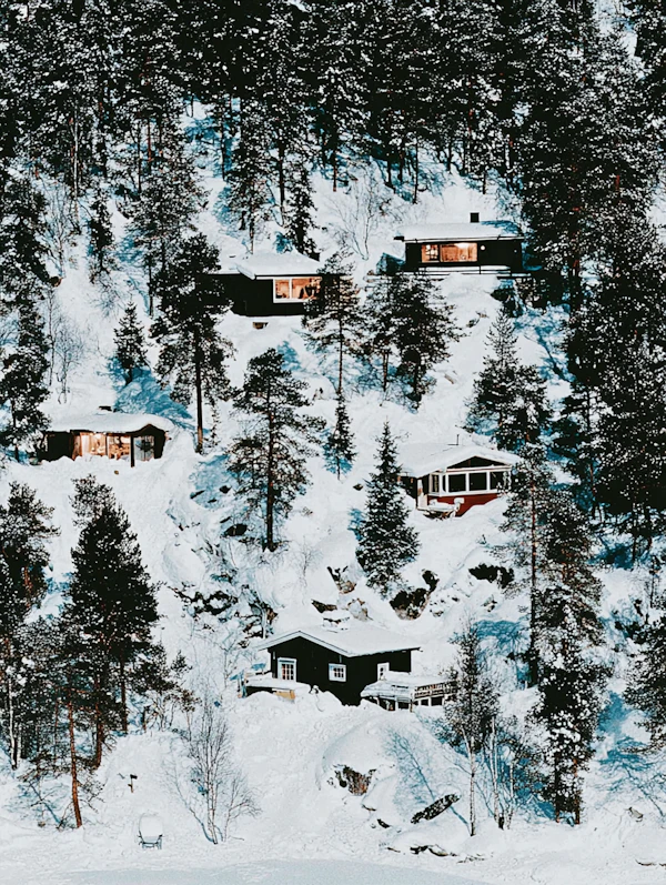 Winter Cabin Retreat