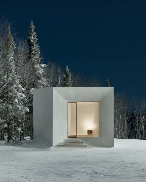 Modern Snowy Retreat