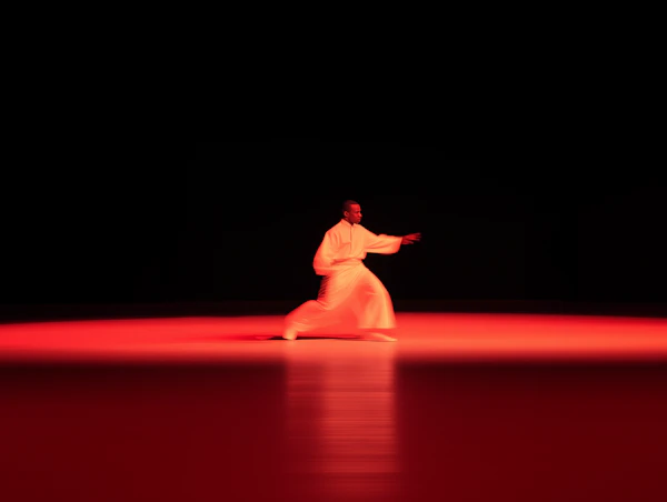 Martial Arts Performance