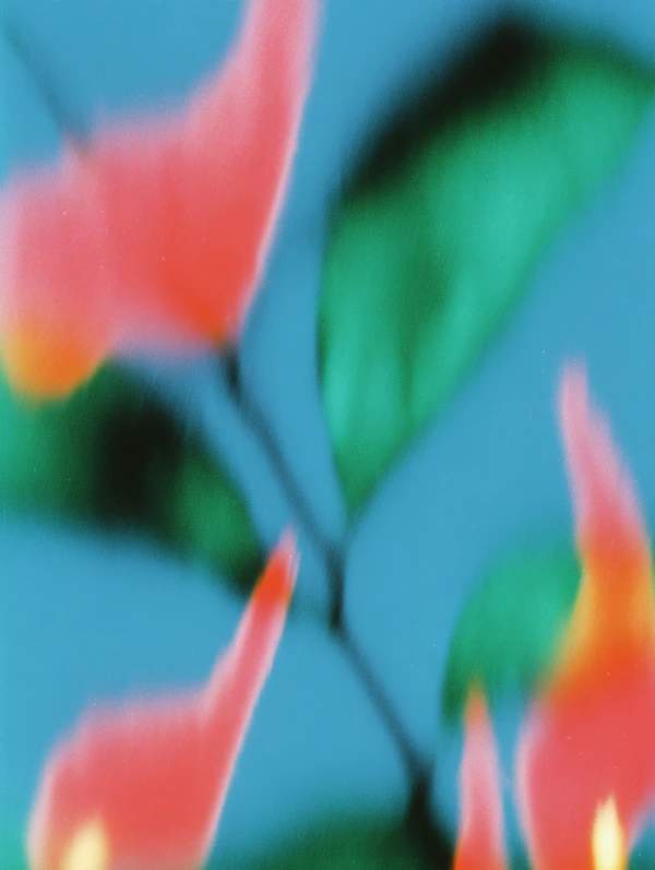 Abstract Floral Motion