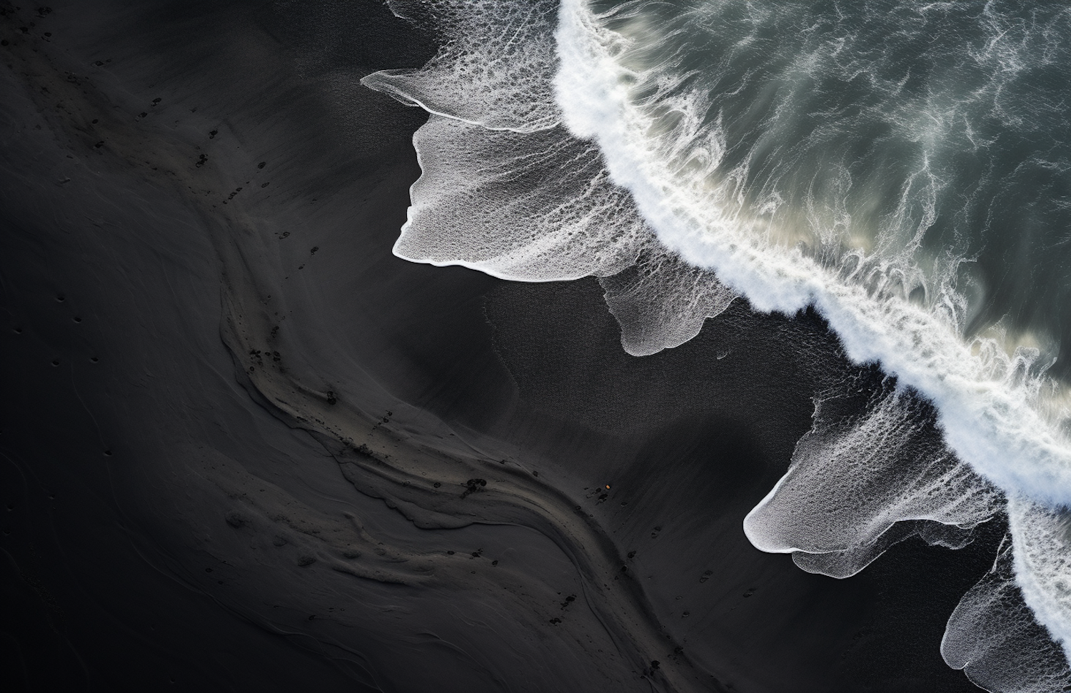 Sea Lace on Black Sand Shoreline