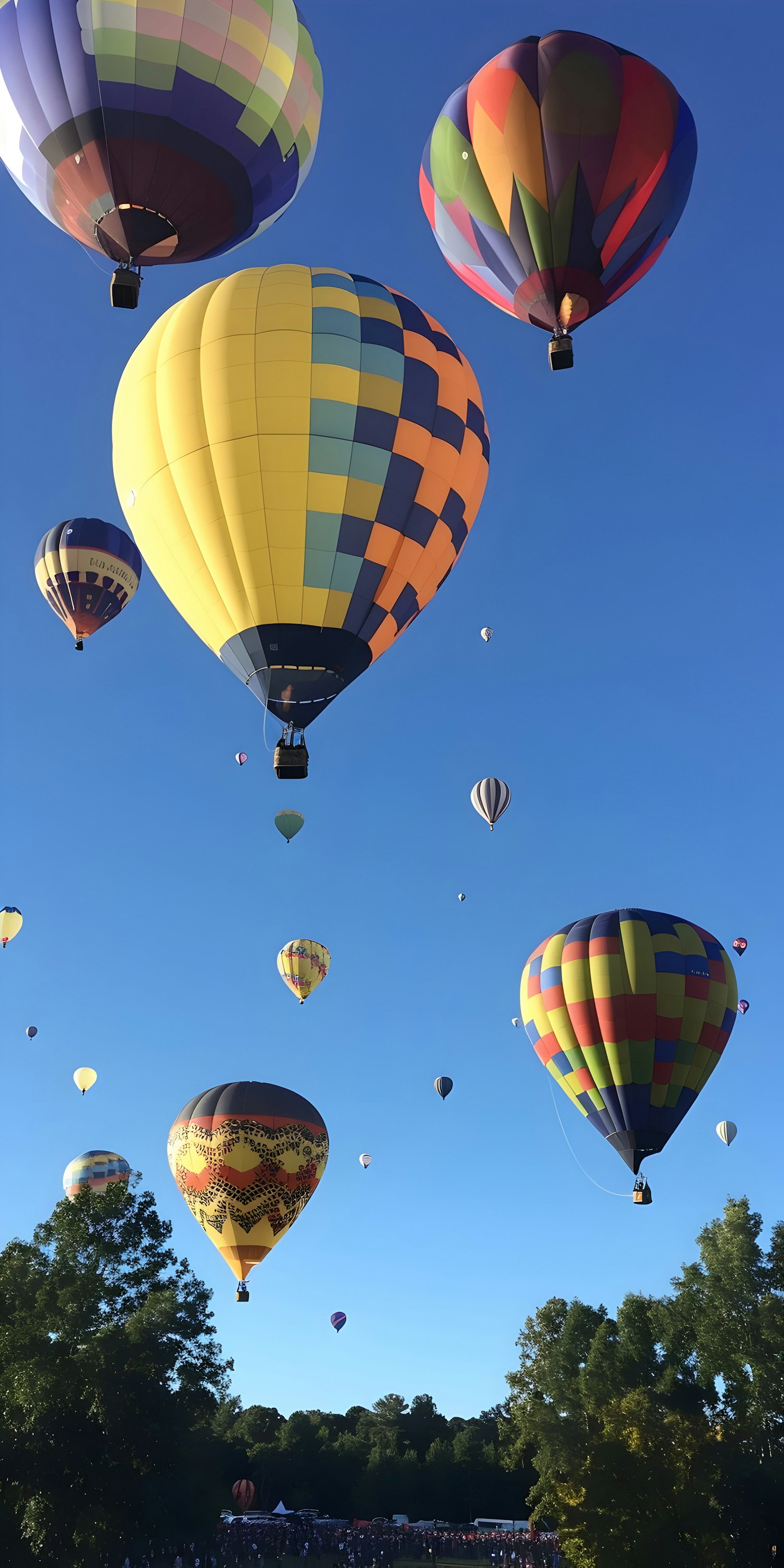 Hot Air Balloon Festival