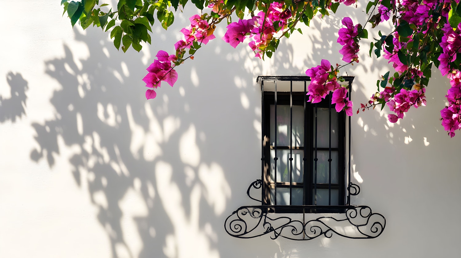 Mediterranean Style Window with Bougainvillea