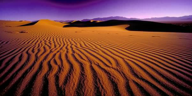 Desert Landscape at Sunrise