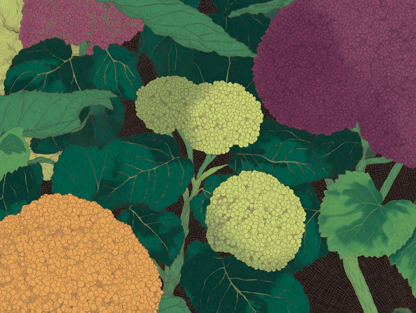 Antique Hydrangea Arrangement Art