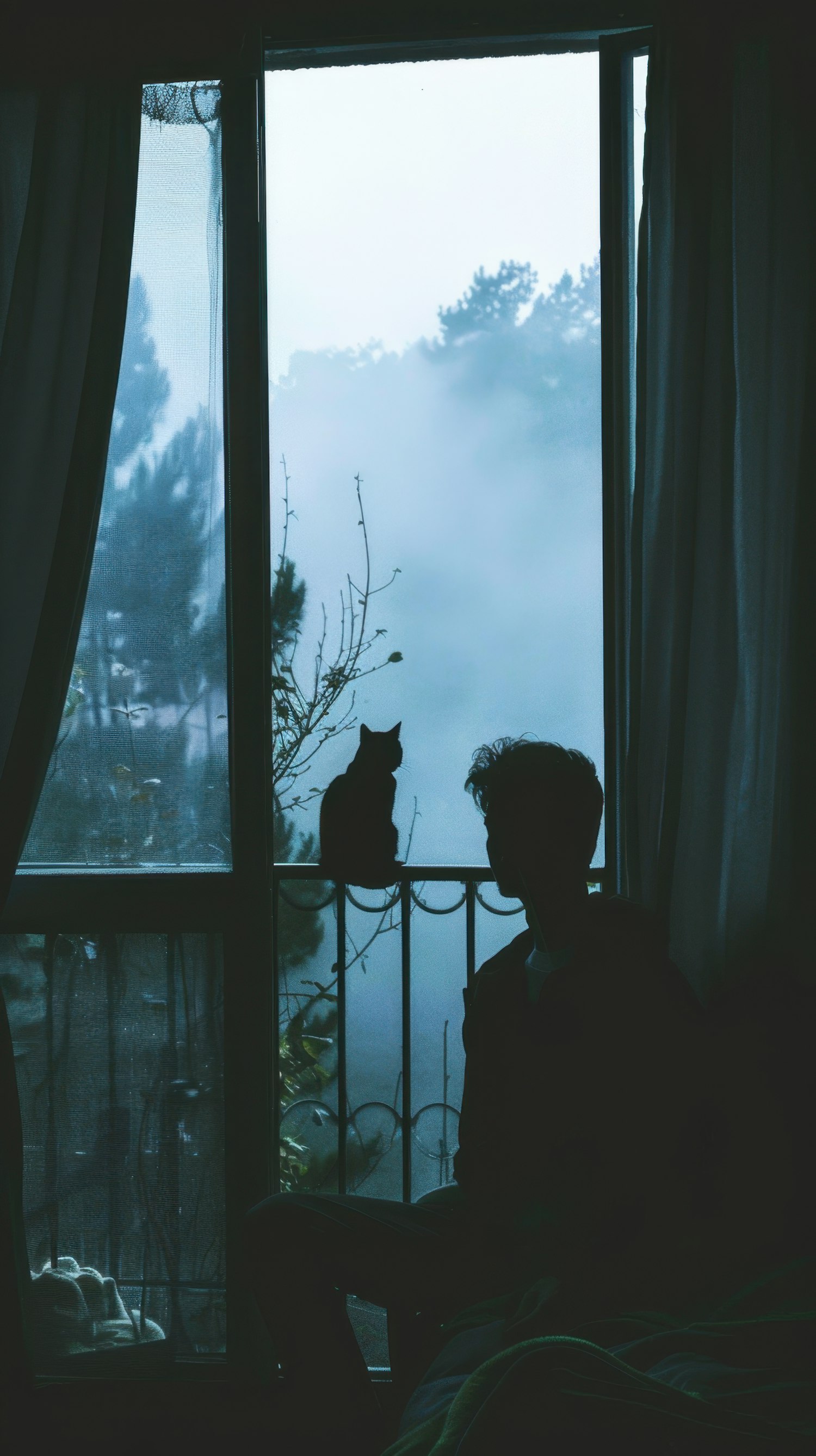 Silhouette by the Window