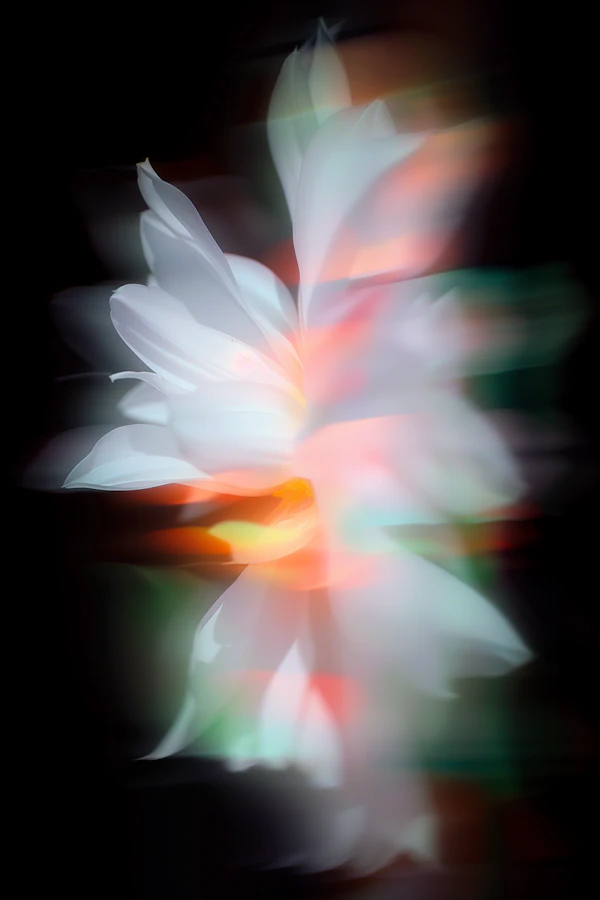 Glowing Abstract Flower