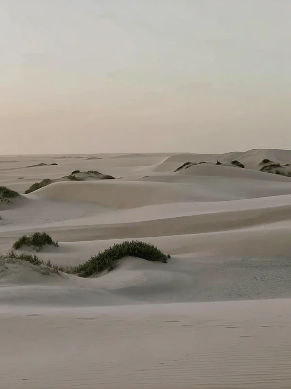 Serene Desert Landscape