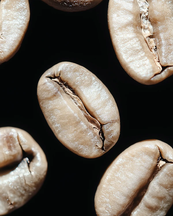 Macro Coffee Beans