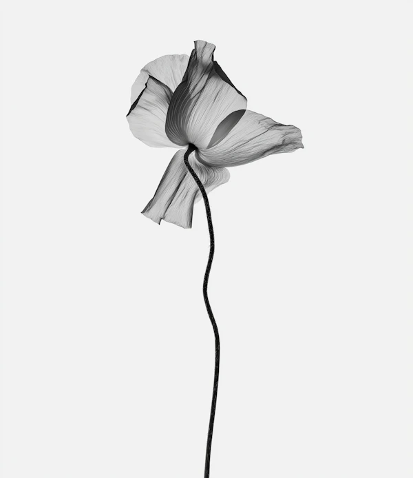 Monochromatic Flower Art