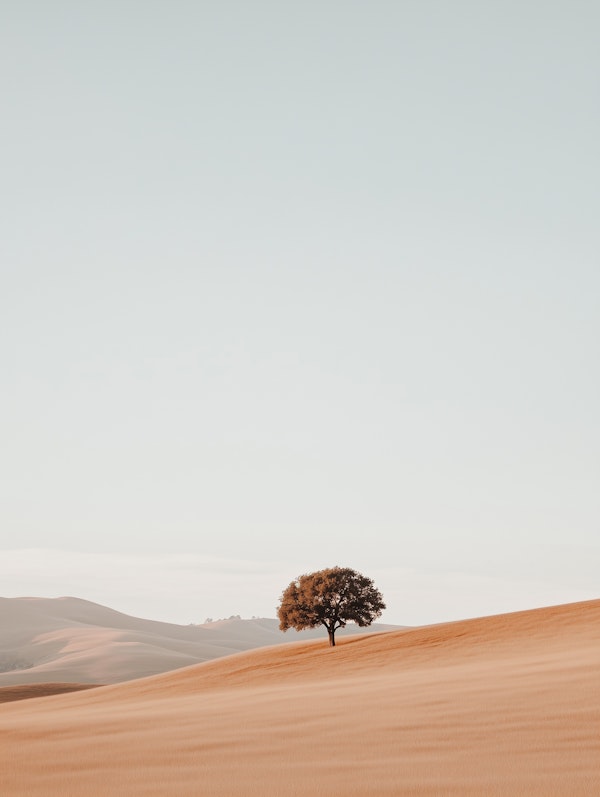 Solitary Tree in Sandy Landscape