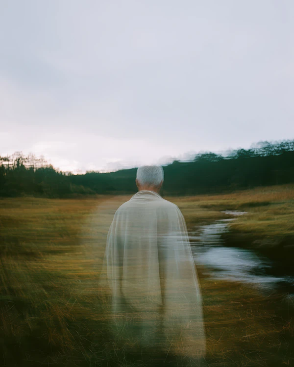 Ethereal Field Scene