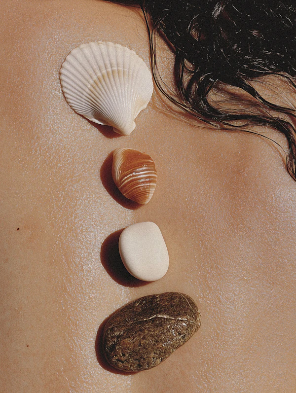 Shells on Sunlit Skin