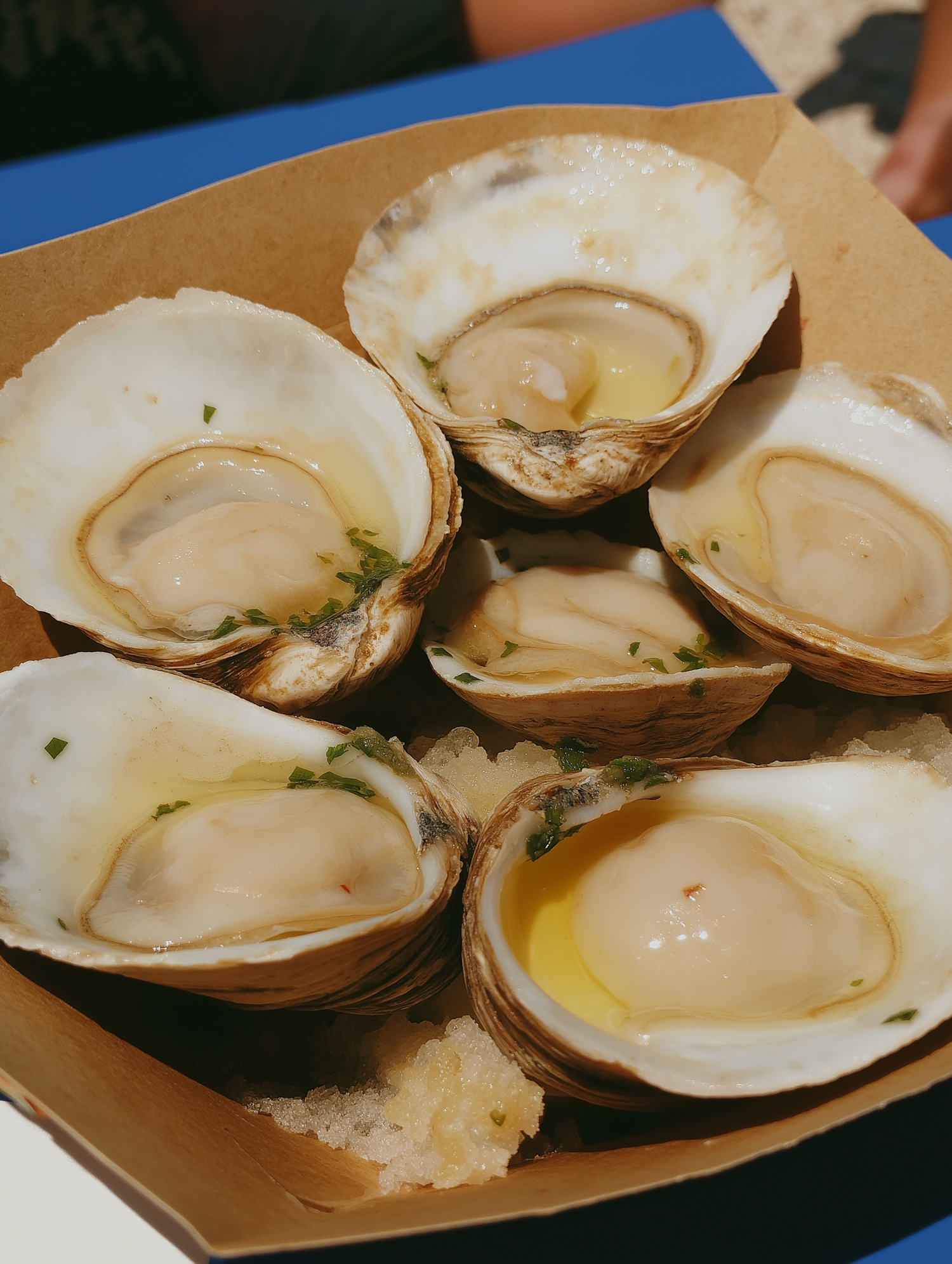 Freshly Shucked Oysters