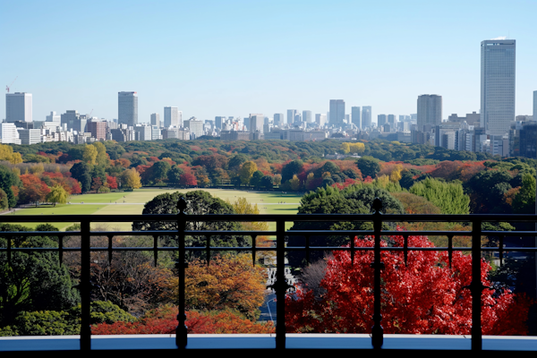 Autumn Urban Park Panorama