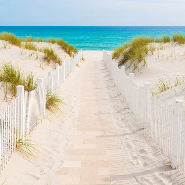 Serene Beach Pathway