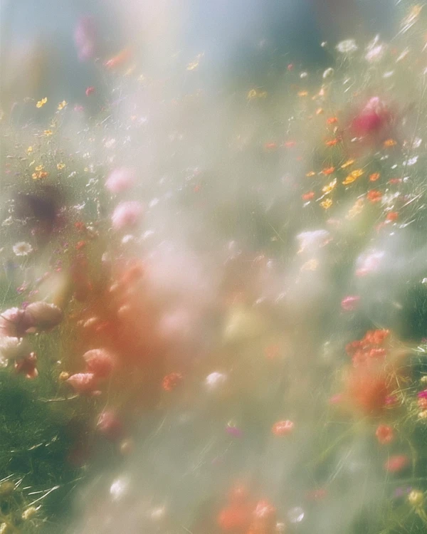 Dreamy Wildflower Meadow