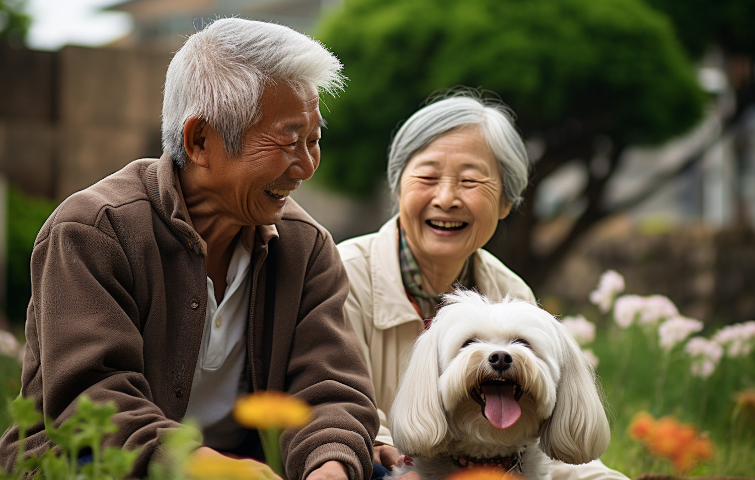 Joyful Moment with Beloved Maltese