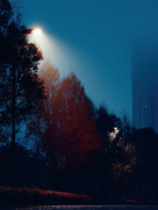 Nighttime Street Scene