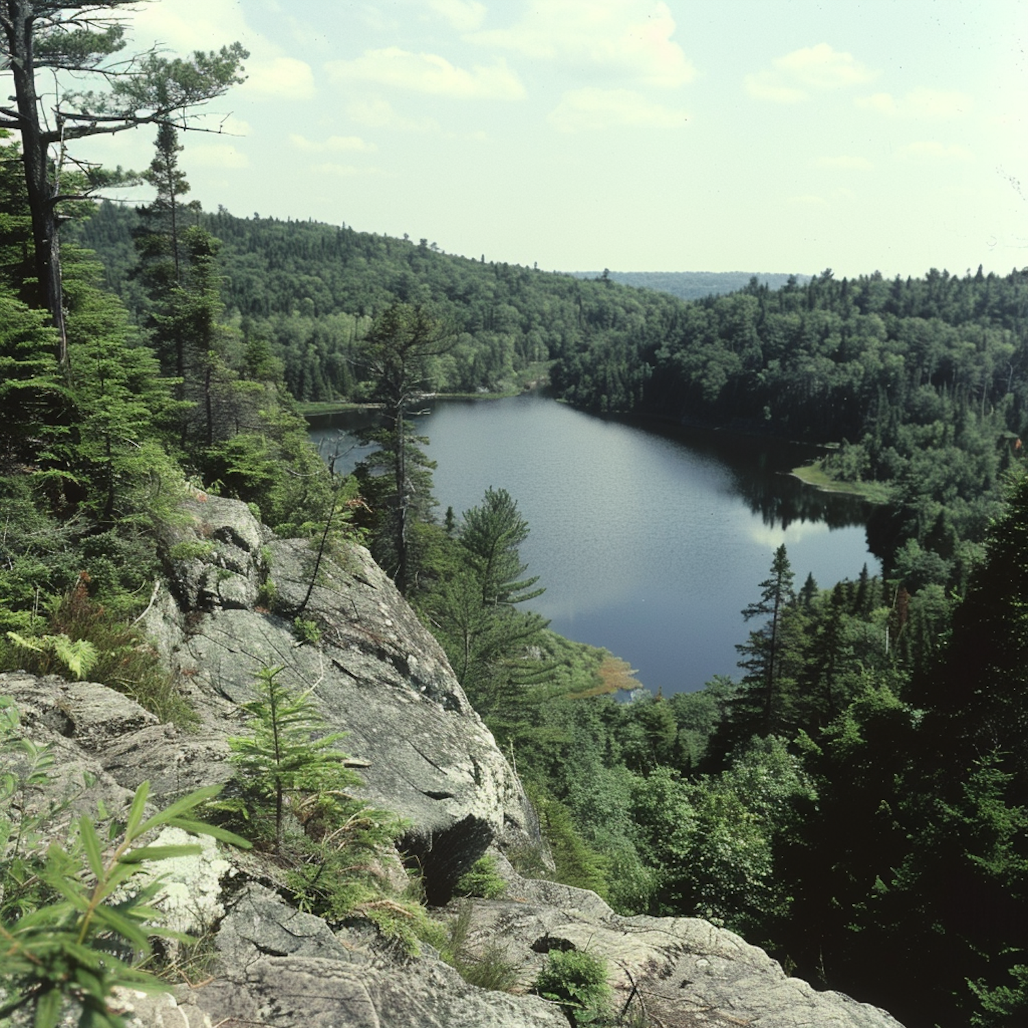 Serene Lake and Forest Landscape