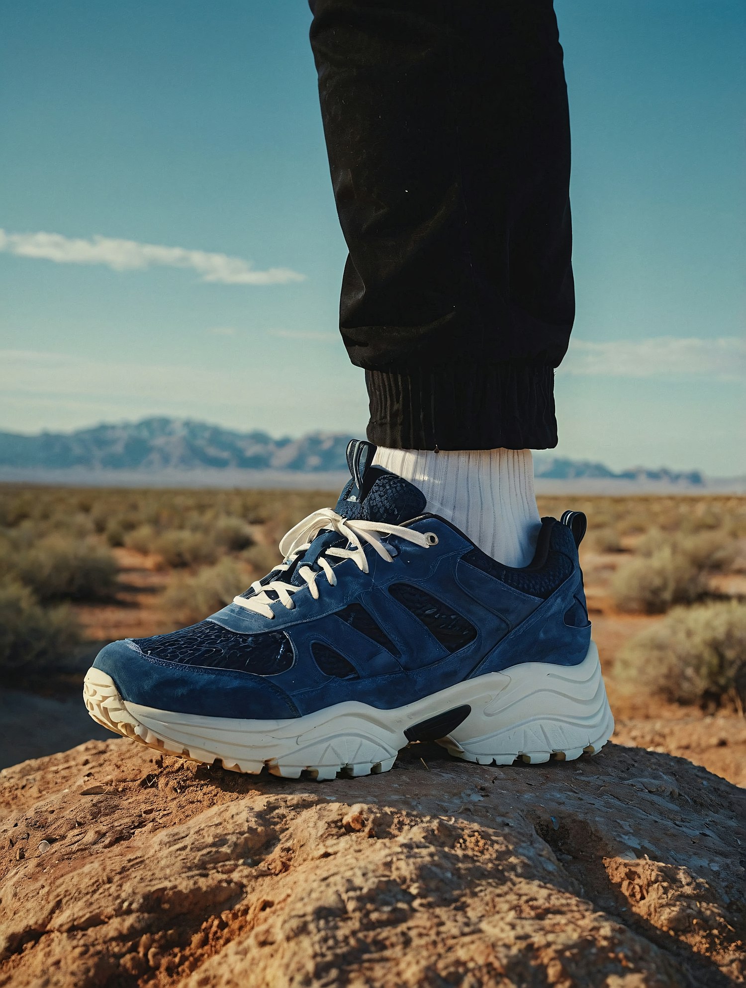 Close-up of Blue Sneaker on Rock