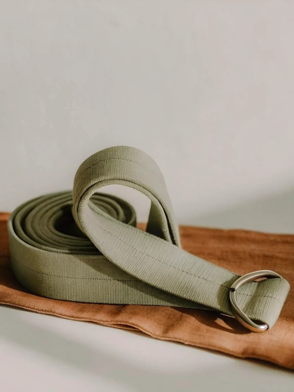 Olive Strap on Fabric