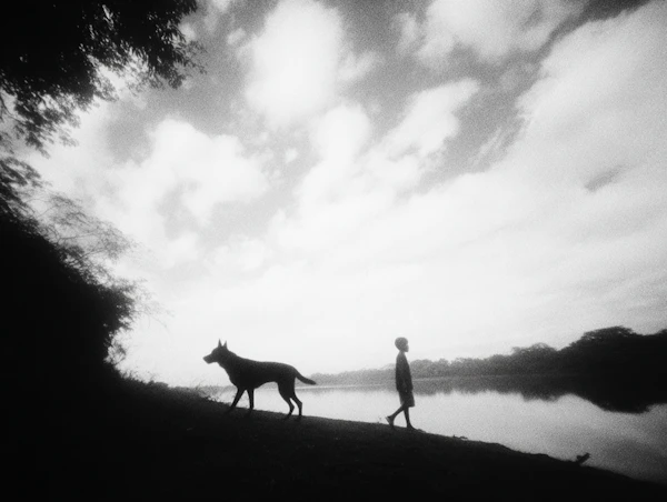 Serene Lakeside Scene