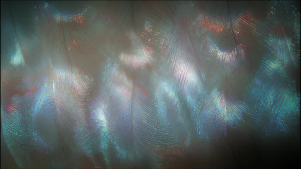 Iridescent Surface