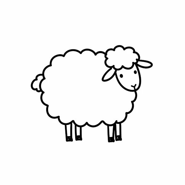 Minimalist Sheep Drawing