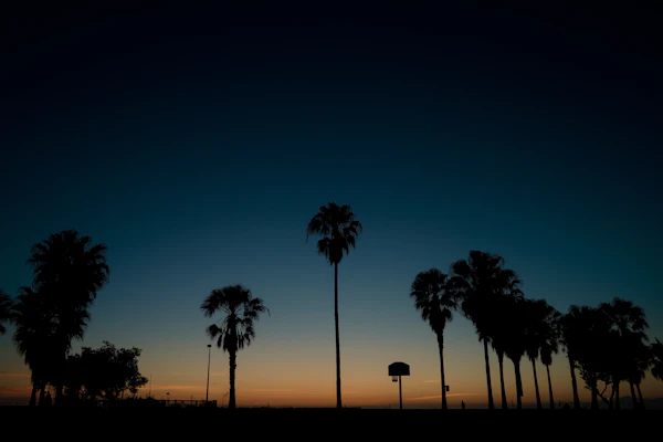 Evening Venice Basketball Court