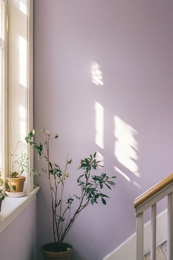 Serene Indoor Scene