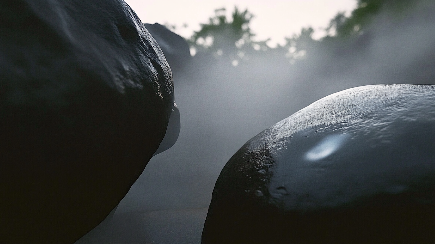 Misty Stones in Nature