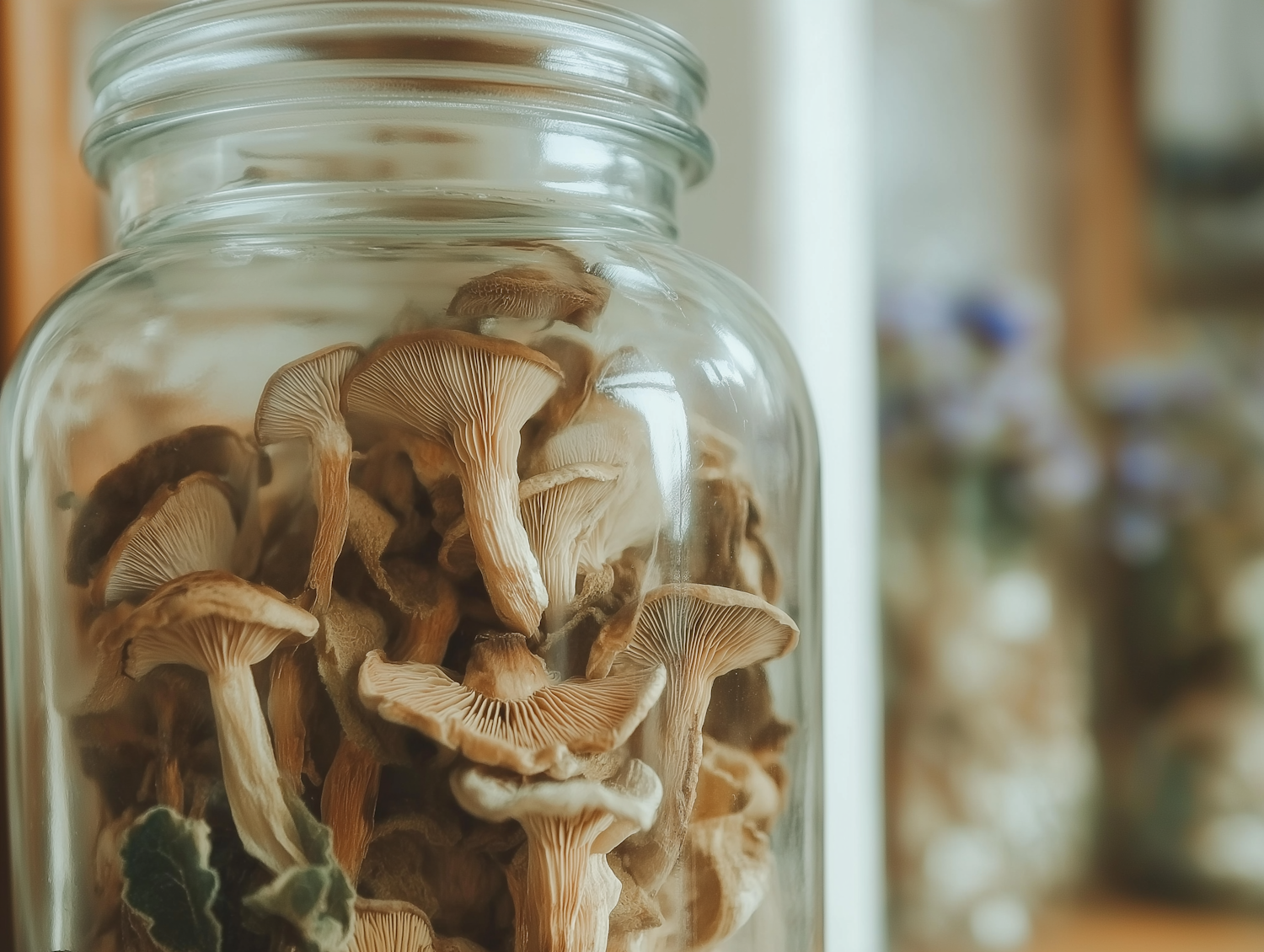 Jar of Dried Mushrooms