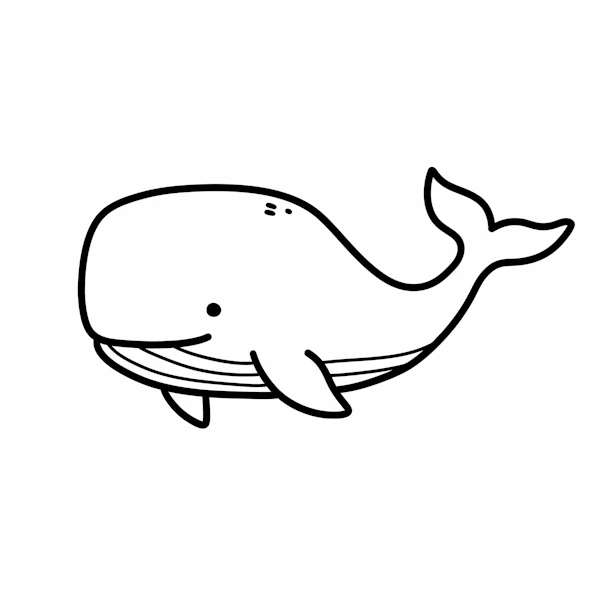Cartoon Whale Drawing