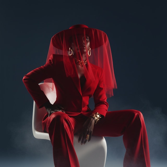 Elegant Red Portrait