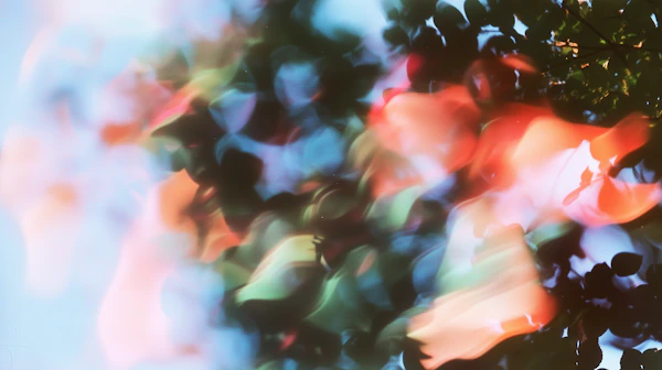 Dreamy Nature Bokeh