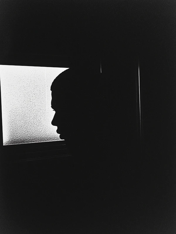 Silhouette Profile Against Textured Background