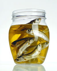 Preserved Fish in Glass Jar