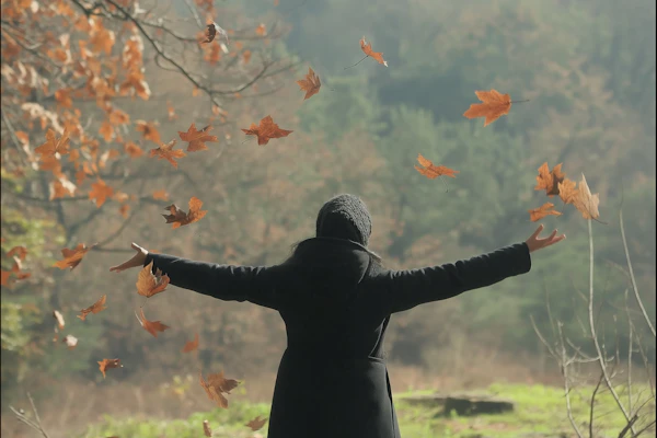 Person in Autumn Forest with Floating Leaves