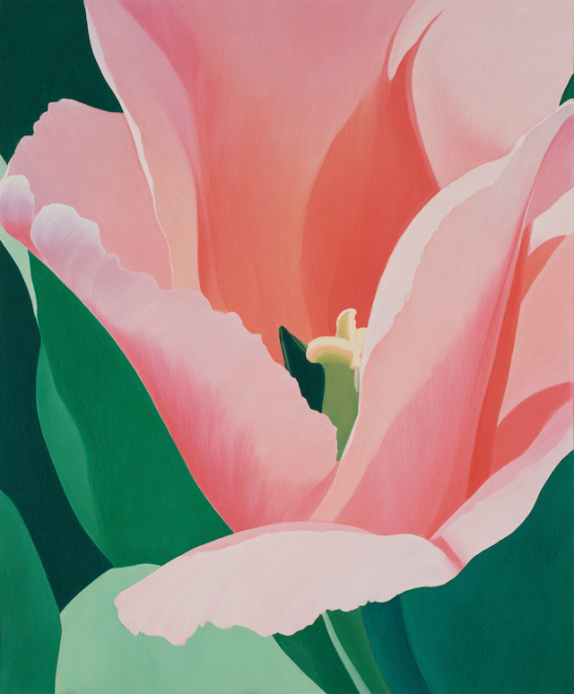 Close-Up Pink Flower