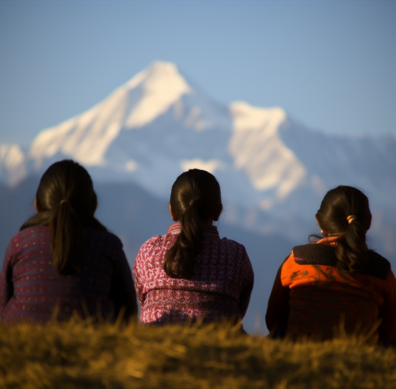 Tranquil Mountain Companionship