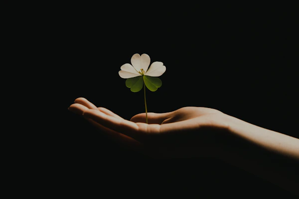 Hand Holding White Flower