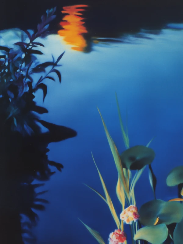 Serene Water Reflection